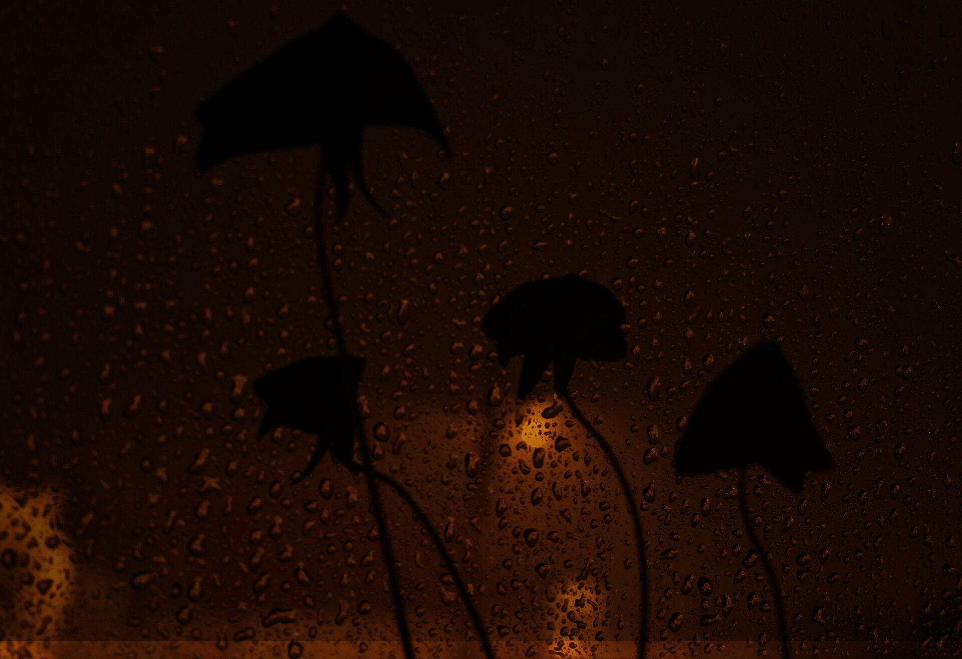 Rain on a window at night, warm lights behind it